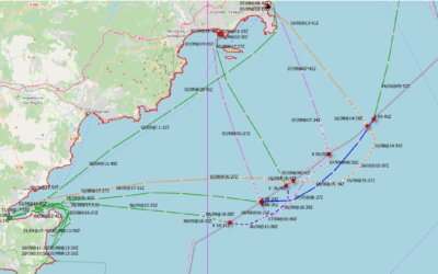 Practical advice: management of short exits outside national territorial waters