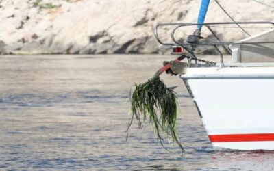 Stay Clear of Heavy Fines – Anchoring Warning Zones Updated for the Season